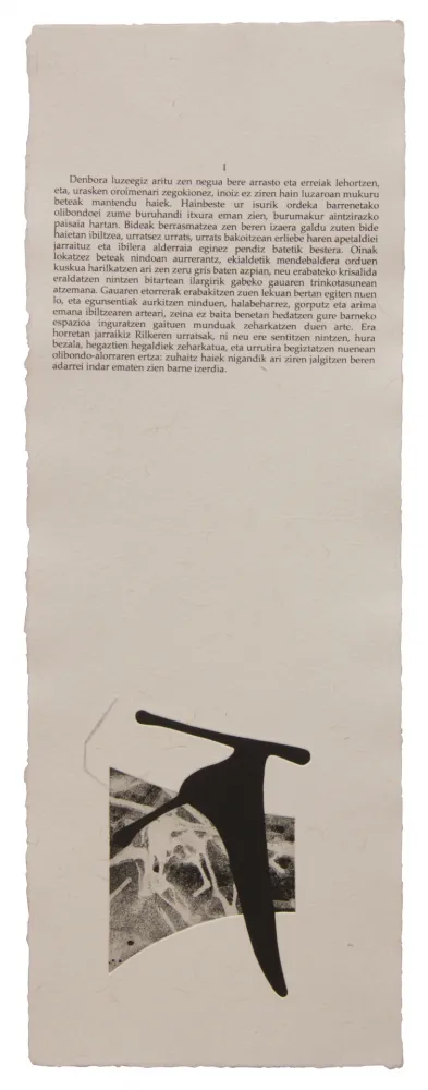 Illustriertes Buch Baroja-Collet - Neguko kronika hegoaldeko ordeketan