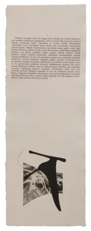 Illustriertes Buch Baroja-Collet - Neguko kronika hegoaldeko ordeketan