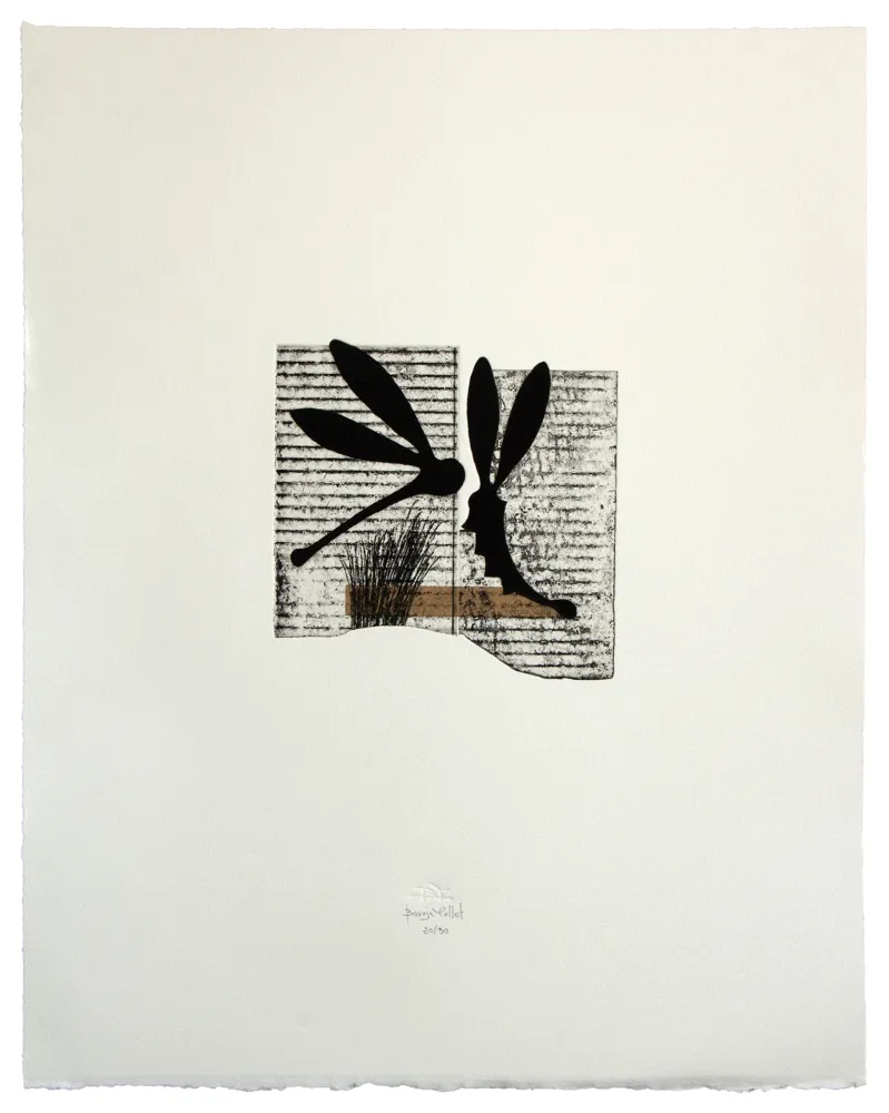 Radierung Und Aquatinta Baroja-Collet - Seducción