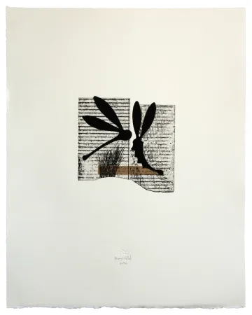 Radierung Und Aquatinta Baroja-Collet - Seducción