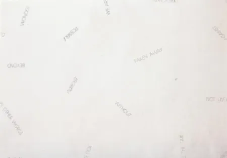 Lithographie Barry - Sans titre