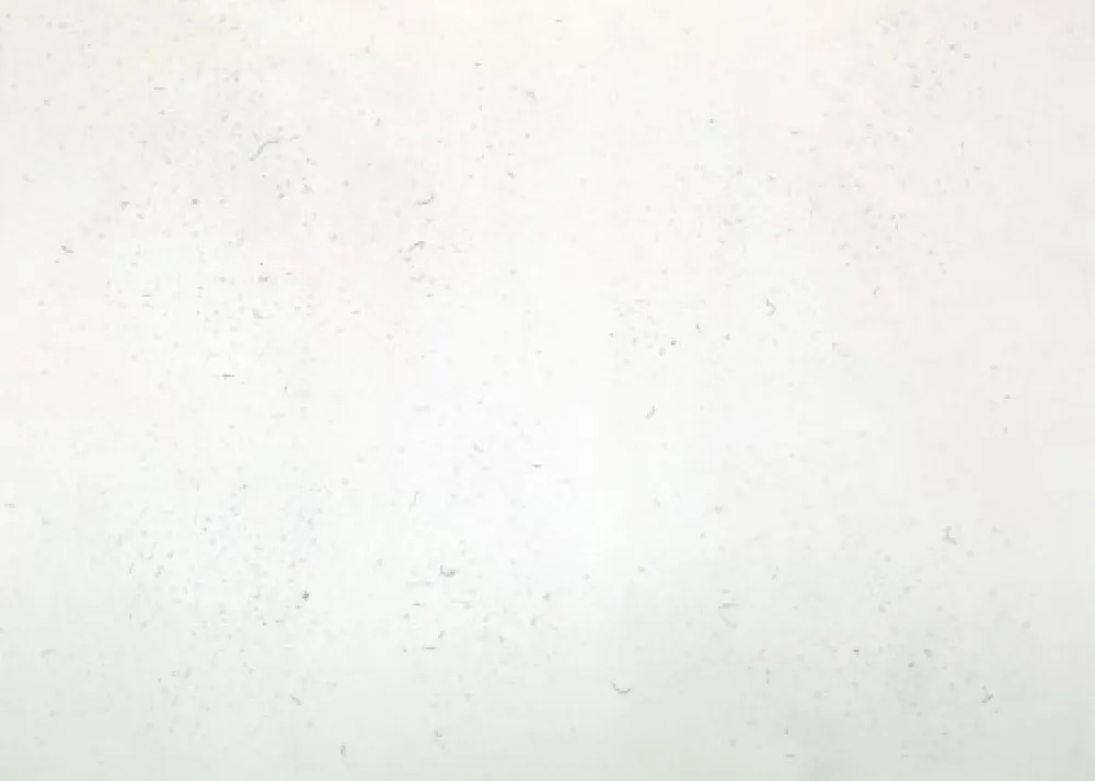 Stich Bartolini - Dust Chaser 1