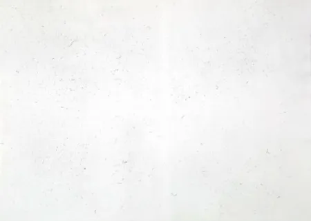 Stich Bartolini - Dust Chaser 2