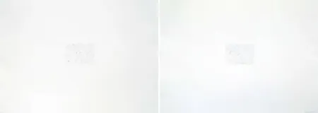 Stich Bartolini - Dust Chaser