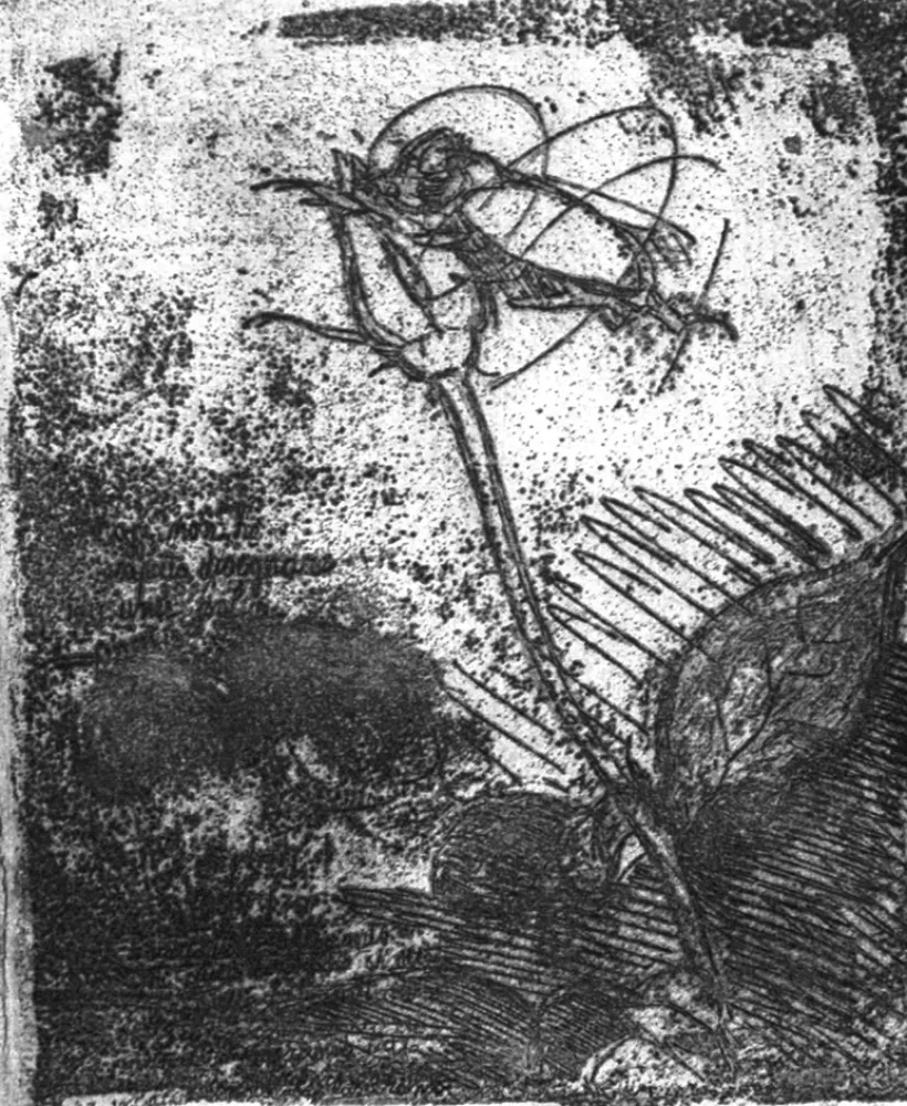 Radierung Bartolini - La rosa