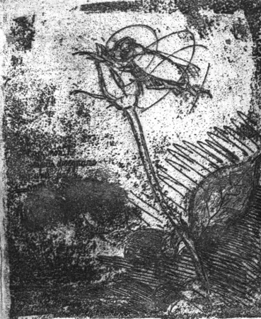 Radierung Bartolini - La rosa