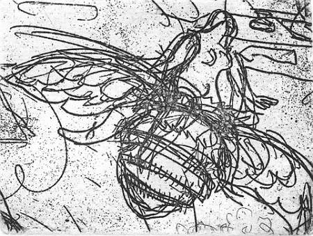 Stich Bartolini - Senza titolo