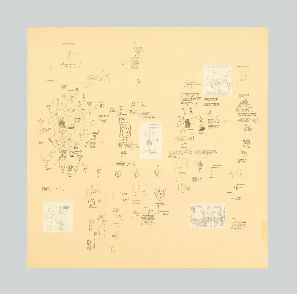 Siebdruck Baruchello - Senza titolo