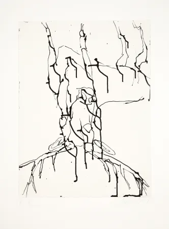 Aquatinta Baselitz - 