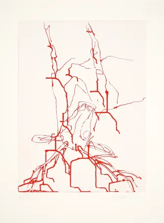 Aquatinta Baselitz - 