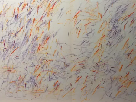 Illustriertes Buch Bazaine - DLM 170