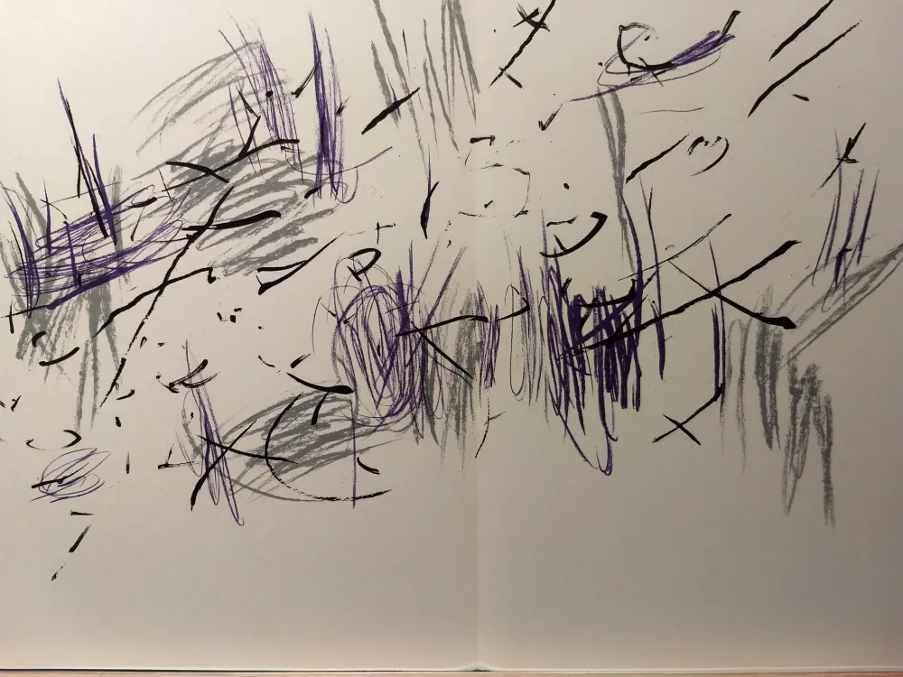 Illustriertes Buch Bazaine - DLM 197