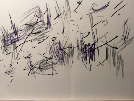 Illustriertes Buch Bazaine - DLM 197