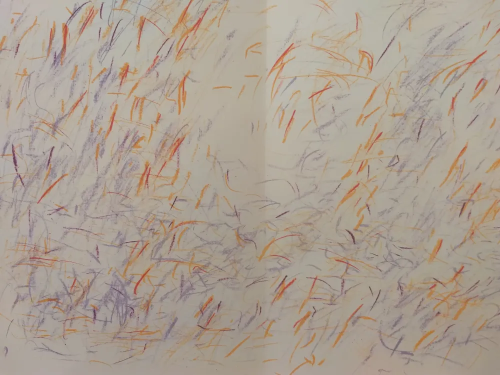 Illustriertes Buch Bazaine - Edition Tete DLM 170