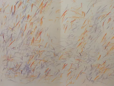 Illustriertes Buch Bazaine - Edition Tete DLM 170