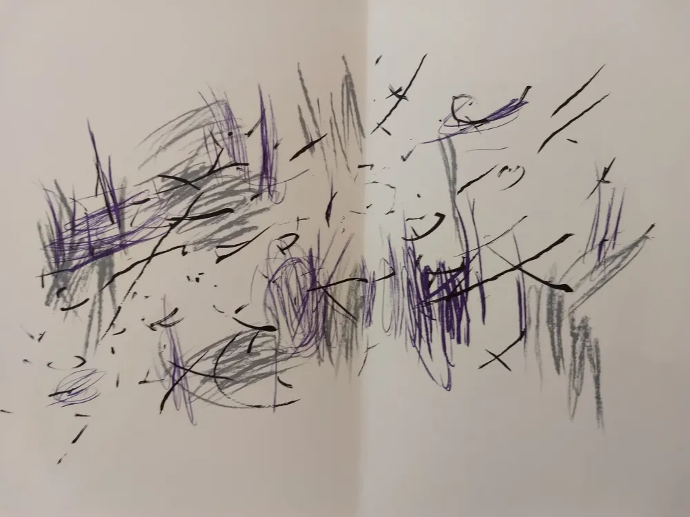 Illustriertes Buch Bazaine - Edition Tete DLM 197