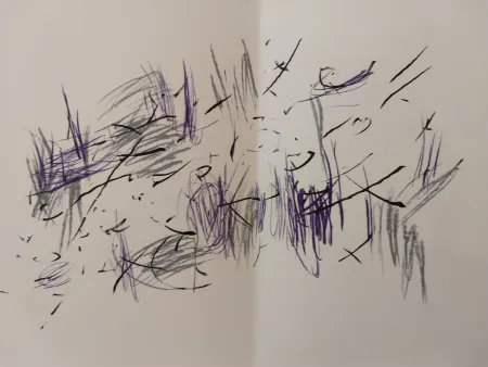 Illustriertes Buch Bazaine - Edition Tete DLM 197