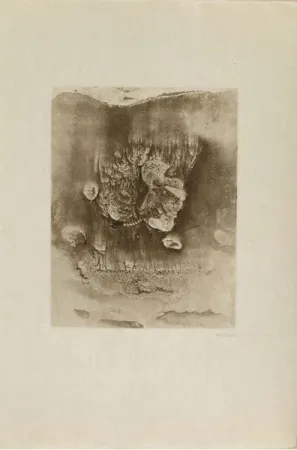 Stich Bellmer -  Entre deux eaux