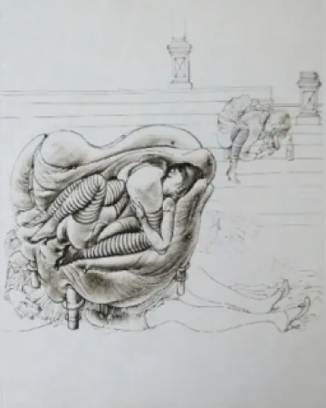 Radierung Und Aquatinta Bellmer - Initiation à la sexualité