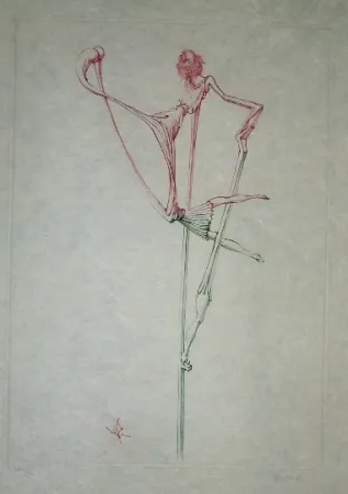 Radierung Und Aquatinta Bellmer - Oeillades ciselées 7