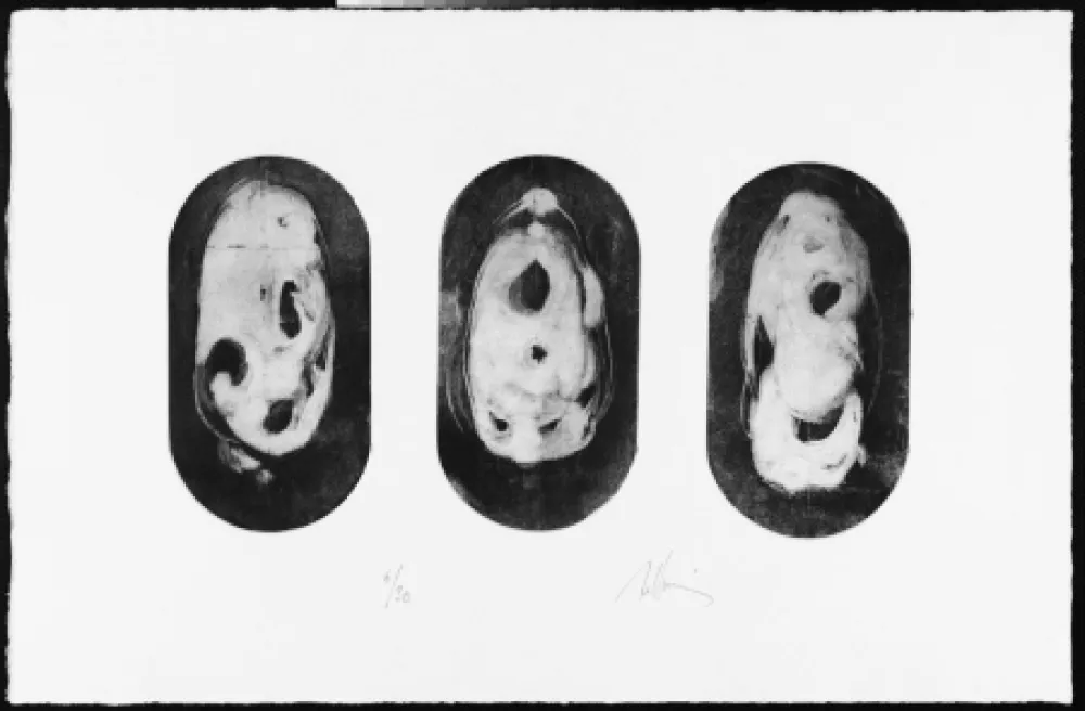 Stich Belloni - Sans titre