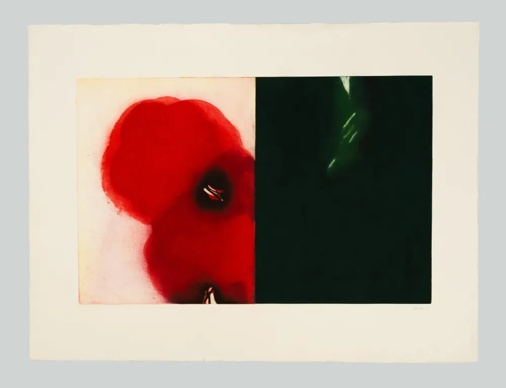 Radierung Und Aquatinta Benati - Affiora