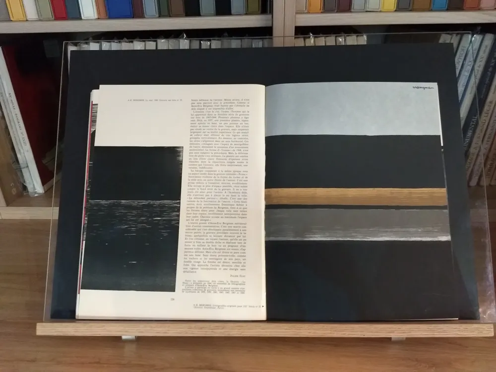 Illustriertes Buch Bergman - No 35