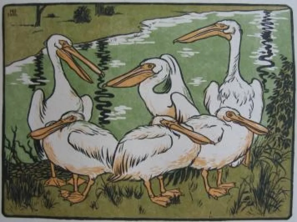 Holzschnitt Berthold - Pelikane