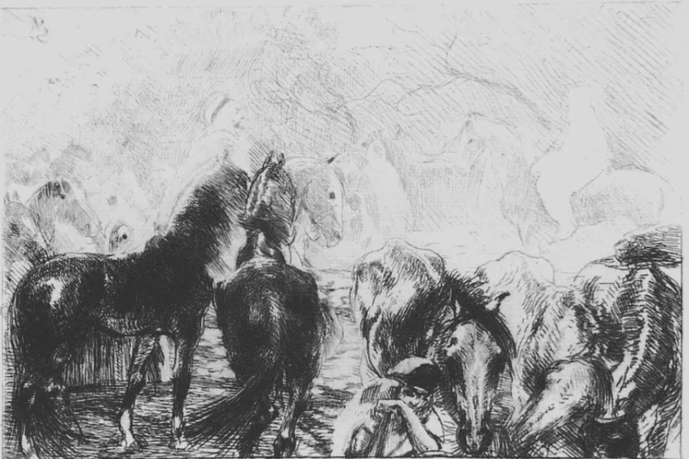 Radierung Besnard - Marché aux chevaux a Mainson Carré - Algérie