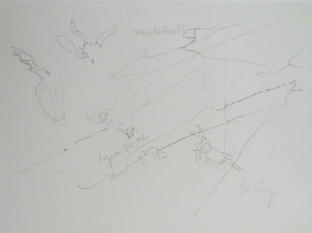 Lithographie Beuys - Codices Madrid 9