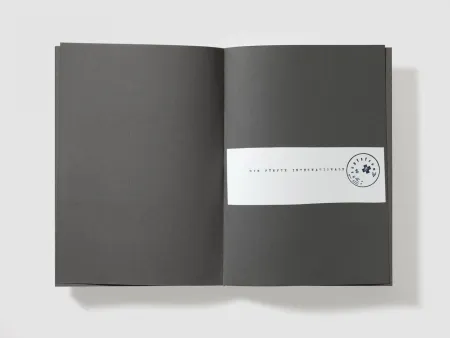 Siebdruck Beuys - Die leute sind ganz prima in Foggia