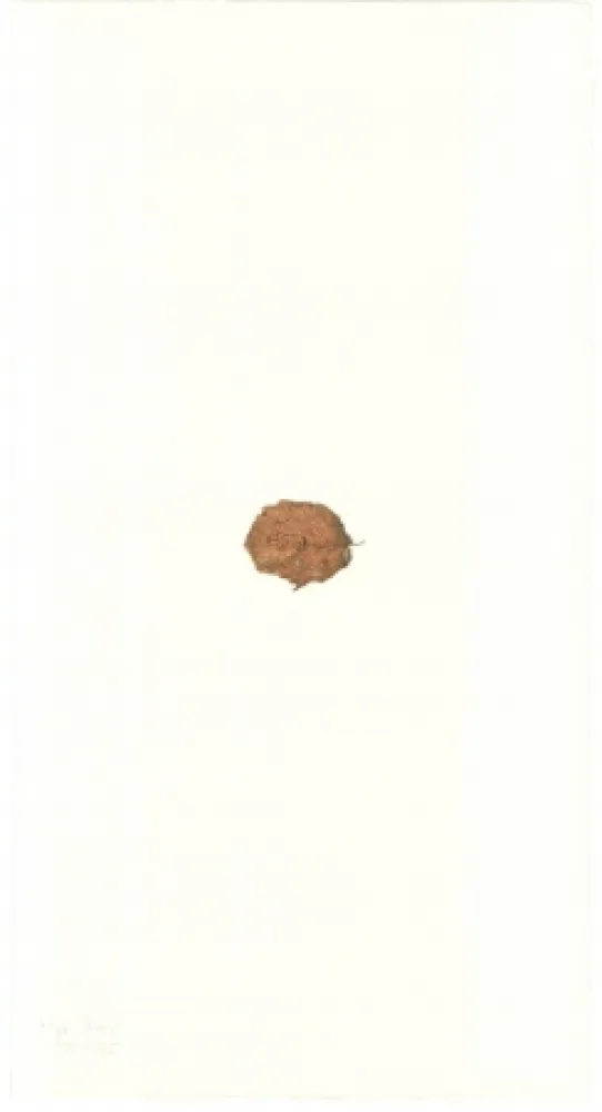 Lithographie Beuys - Zirkulationszeit: Bär  Museumsausgabe