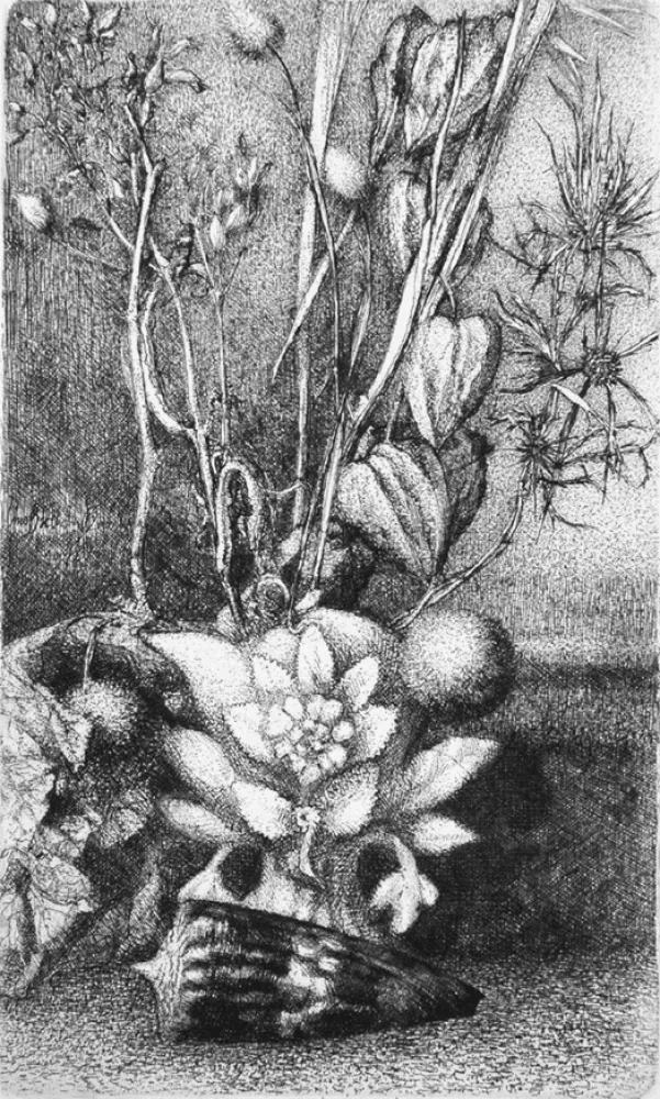 Radierung Bianchi Barriviera - Natura morta