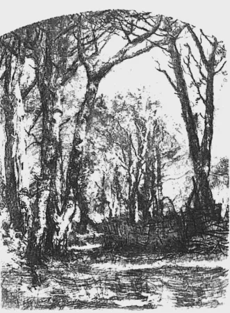 Radierung Bianchi - Il bosco