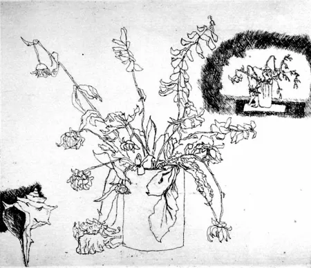 Radierung Biasion - Fiori secchi e conchiglia