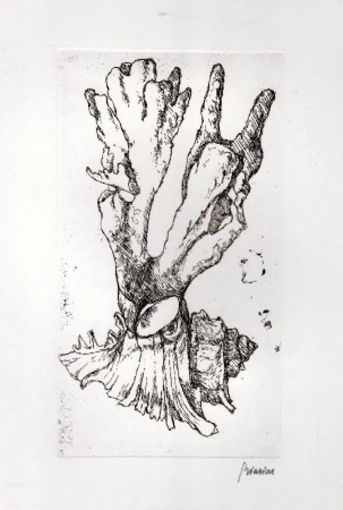 Illustriertes Buch Biasion - Venezia lontana