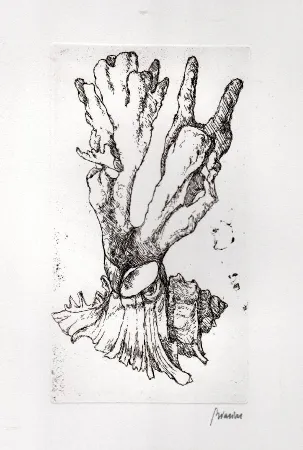 Illustriertes Buch Biasion - Venezia lontana