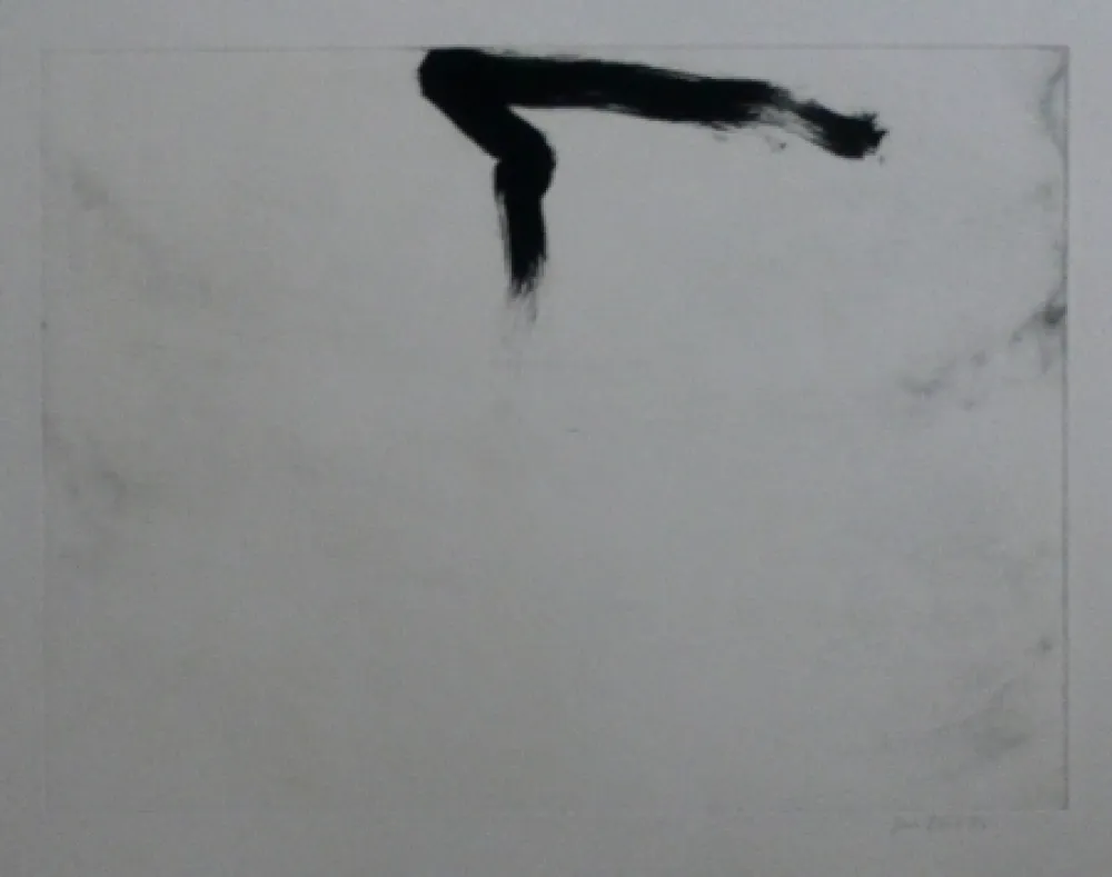 Radierung Und Aquatinta Bird - Abstract 11