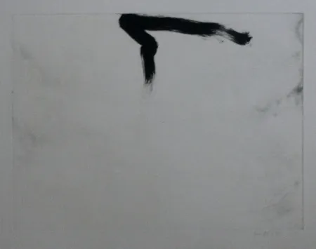 Radierung Und Aquatinta Bird - Abstract 11