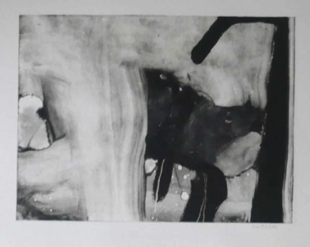 Radierung Und Aquatinta Bird - Abstract 4