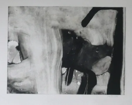 Radierung Und Aquatinta Bird - Abstract 4