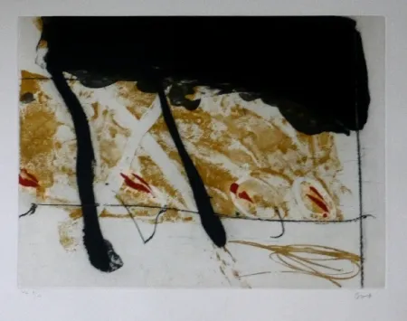 Radierung Und Aquatinta Bird - Abstract 8