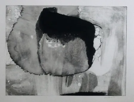 Radierung Und Aquatinta Bird - Abstract 9