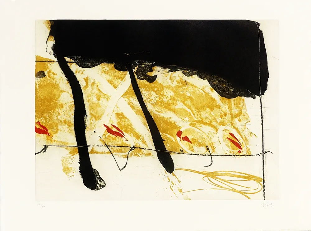 Radierung Und Aquatinta Bird - Coach of black  water