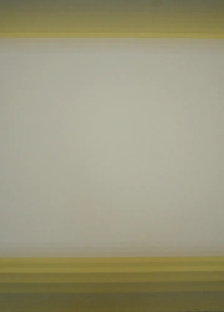 Lithographie Bird - J.B.I. - 10