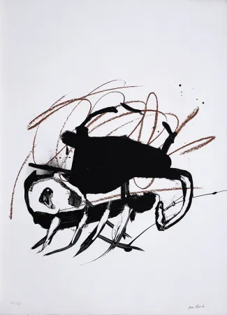 Lithographie Bird - S/T