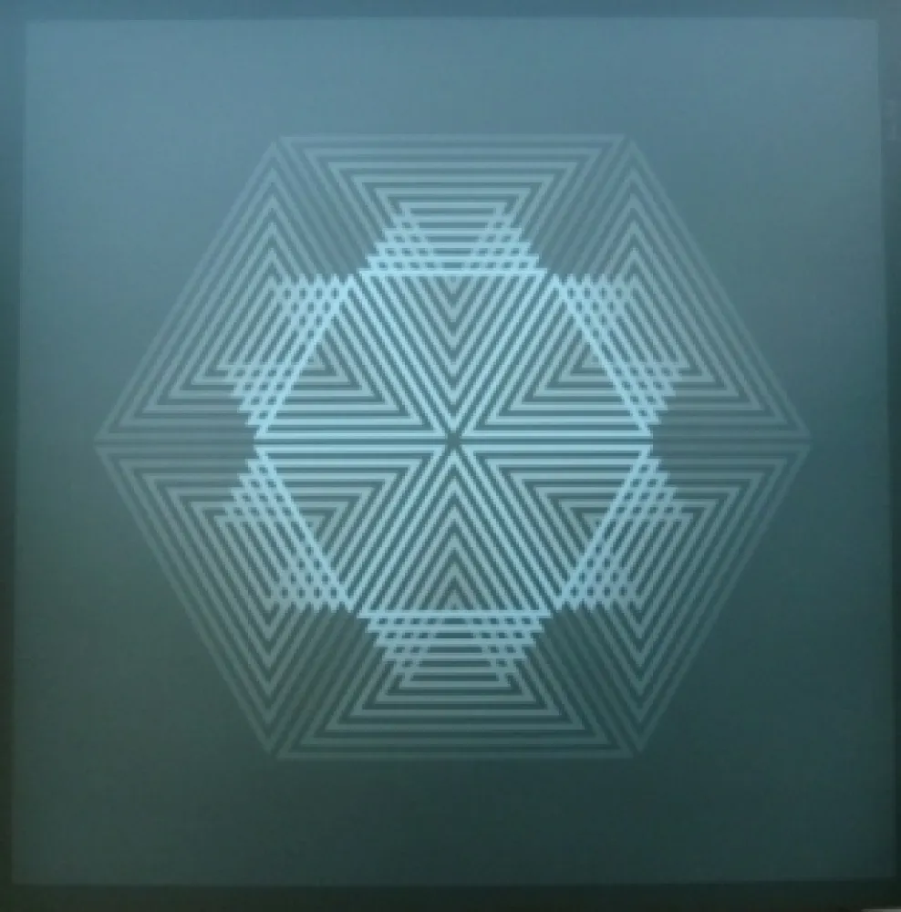 Lithographie Bird - Tribute to vasarely 12