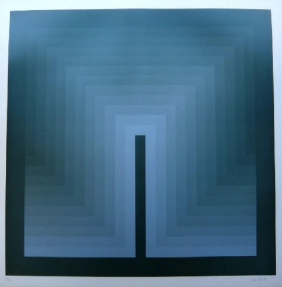Lithographie Bird - Tribute to vasarely 9