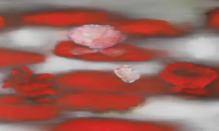 Keine Technische Bleckner - Floating Red