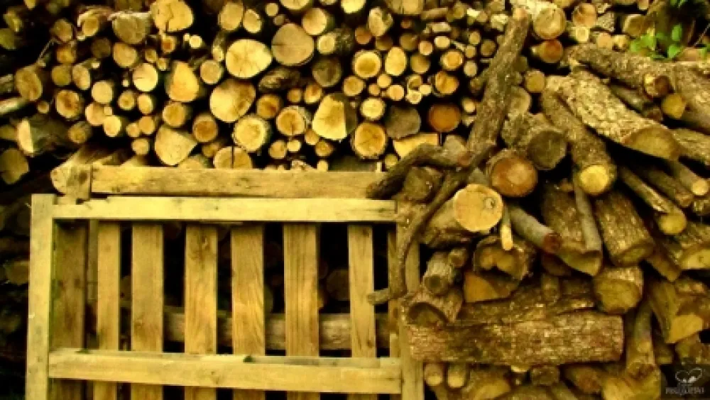 Fotografie Bohorquez - Palos de Moguer